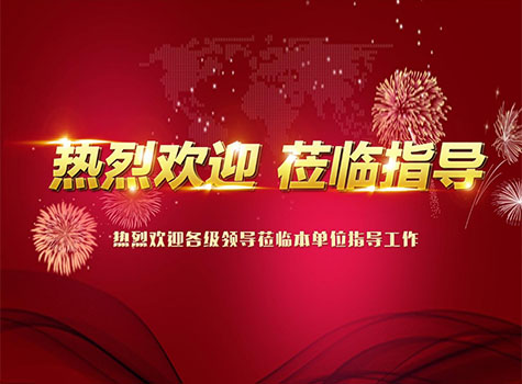 中國染協(xié)張水鶴主任、華東理工沈永嘉教授蒞臨宣城亞邦指導(dǎo)交流