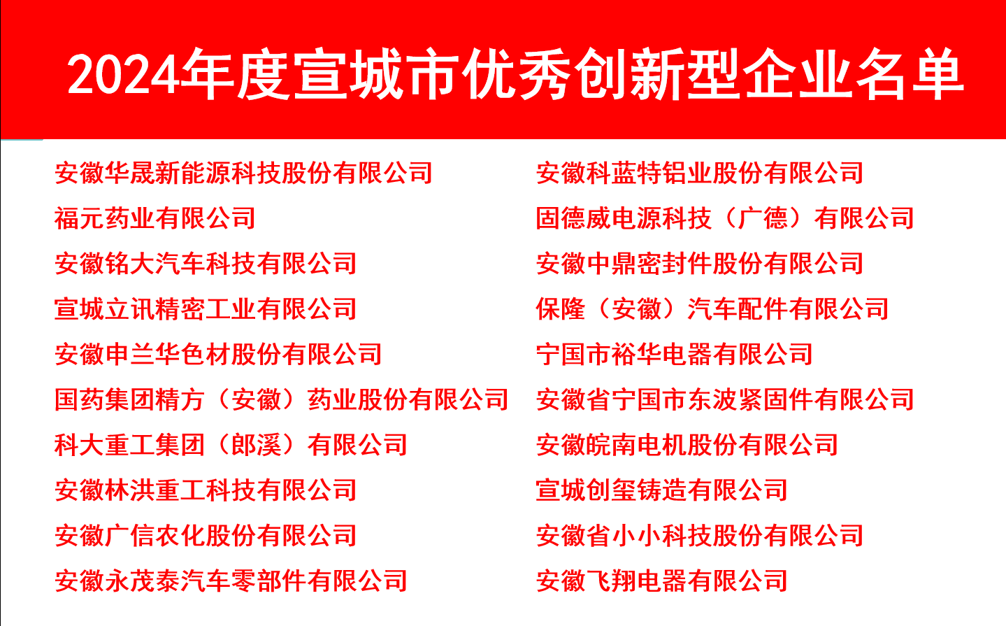 20250206宣城市高質(zhì)量發(fā)展大會1.jpg