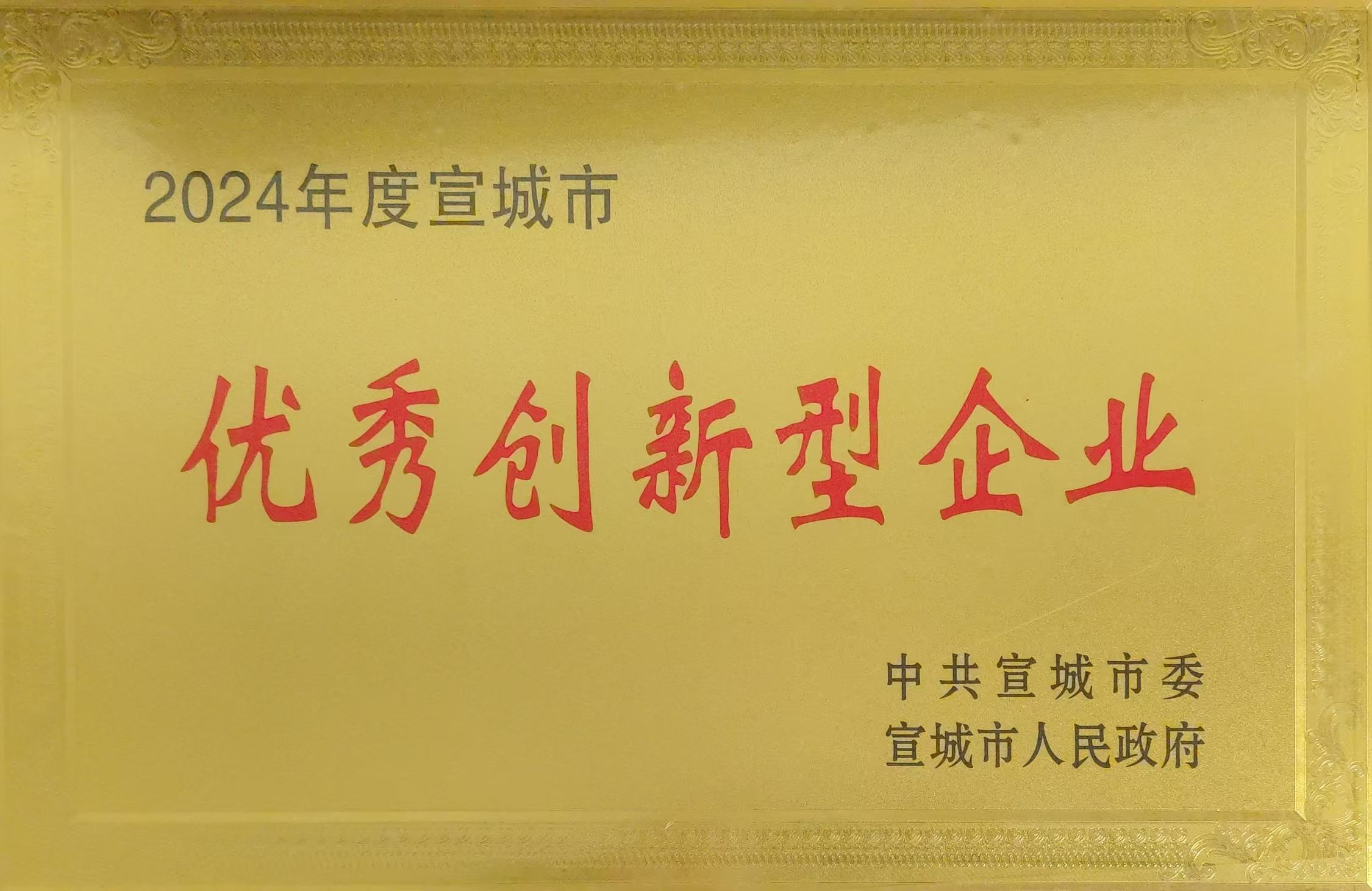 20250206宣城市高質(zhì)量發(fā)展大會.jpg